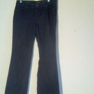 Loft Curvy Boot Blue Denim Woman Jeans Straight Leg Pants Size 10p
